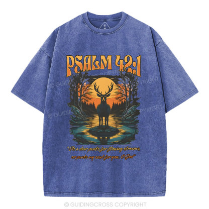As A Deer Pants Chirstian Washed T-Shirt
