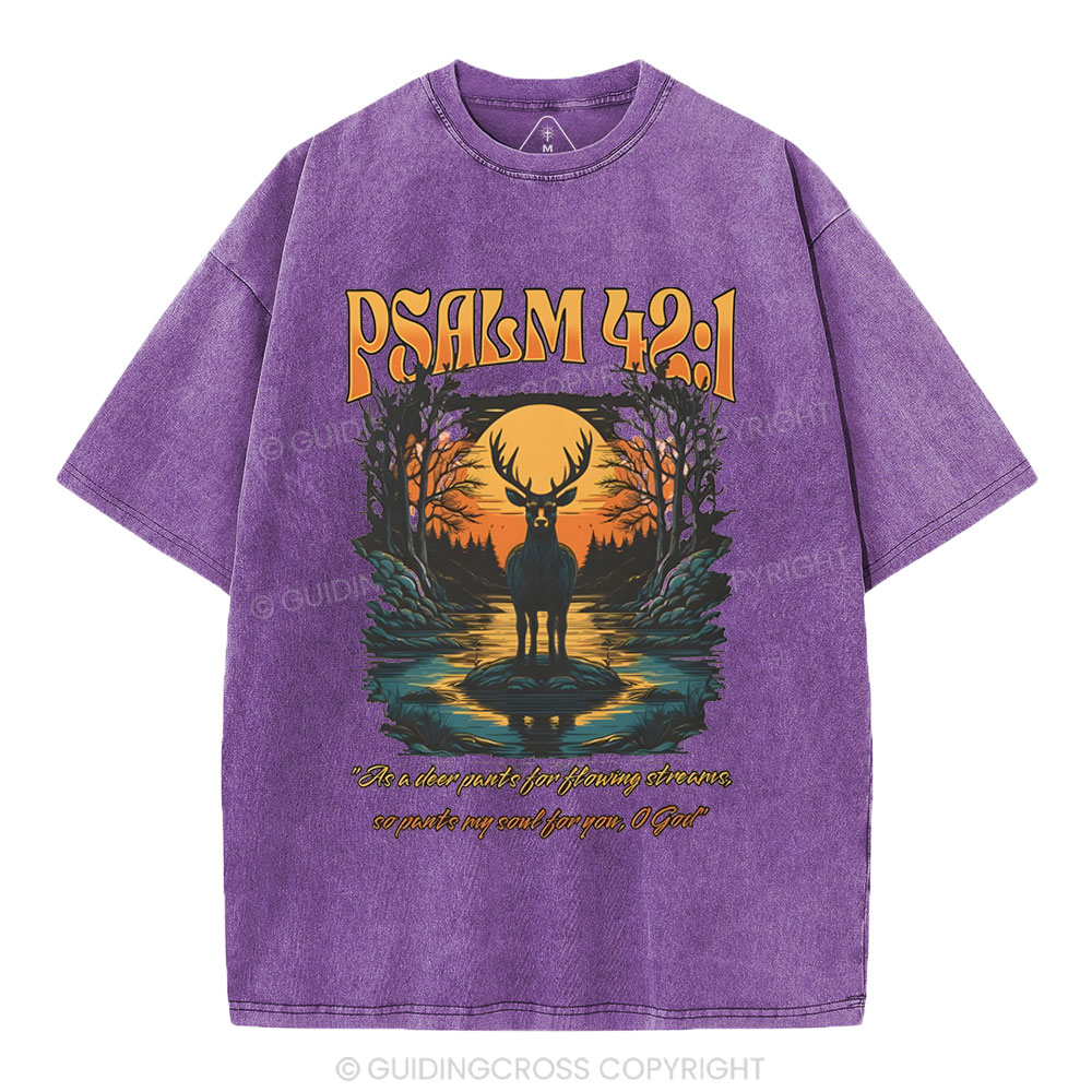 As A Deer Pants Chirstian Washed T-Shirt