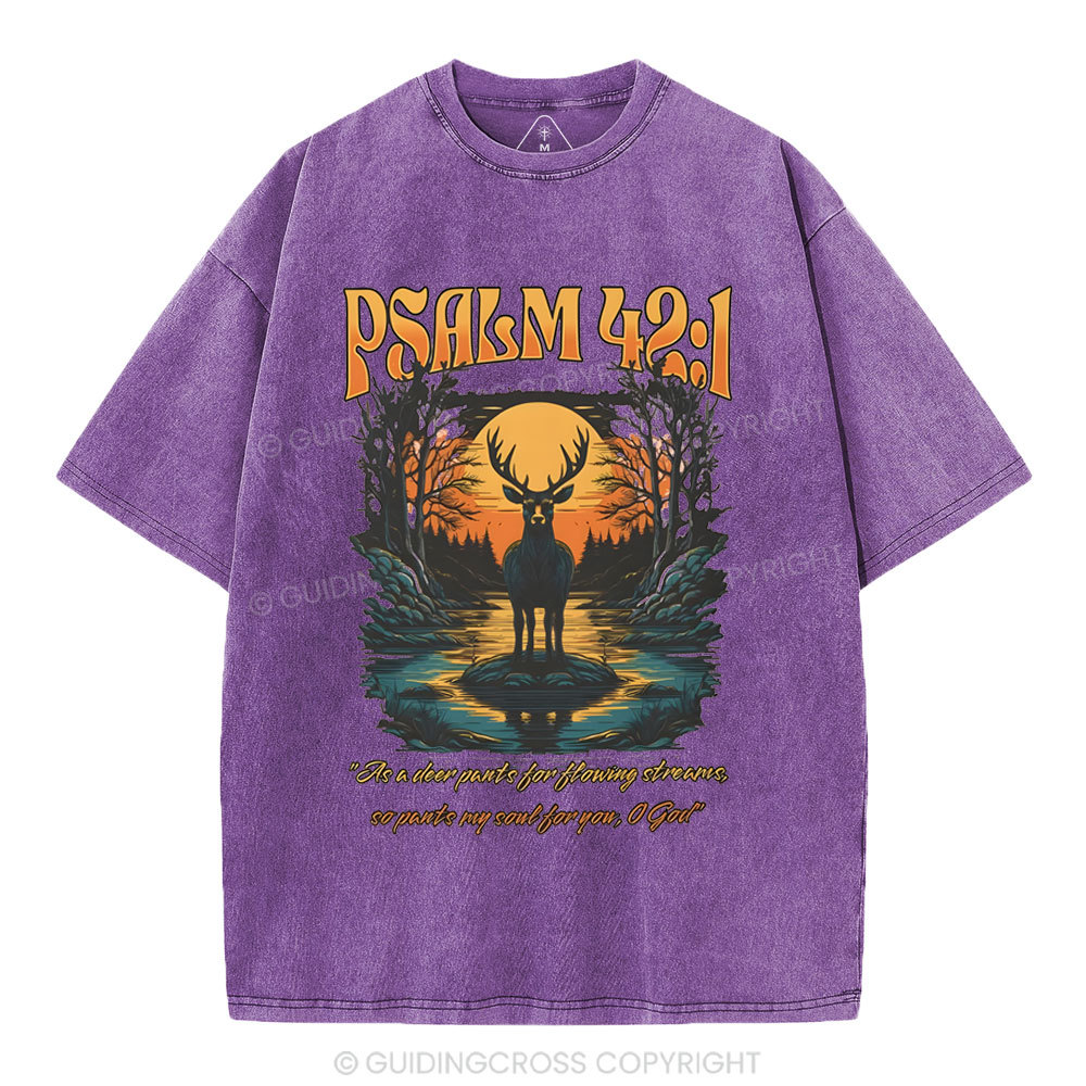 As A Deer Pants Chirstian Washed T-Shirt