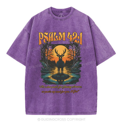 As A Deer Pants Chirstian Washed T-Shirt