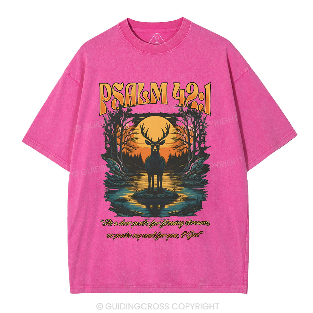 As A Deer Pants Chirstian Washed T-Shirt