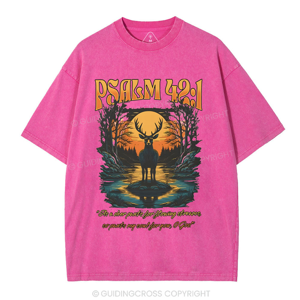 As A Deer Pants Chirstian Washed T-Shirt