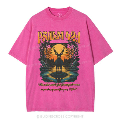 As A Deer Pants Chirstian Washed T-Shirt
