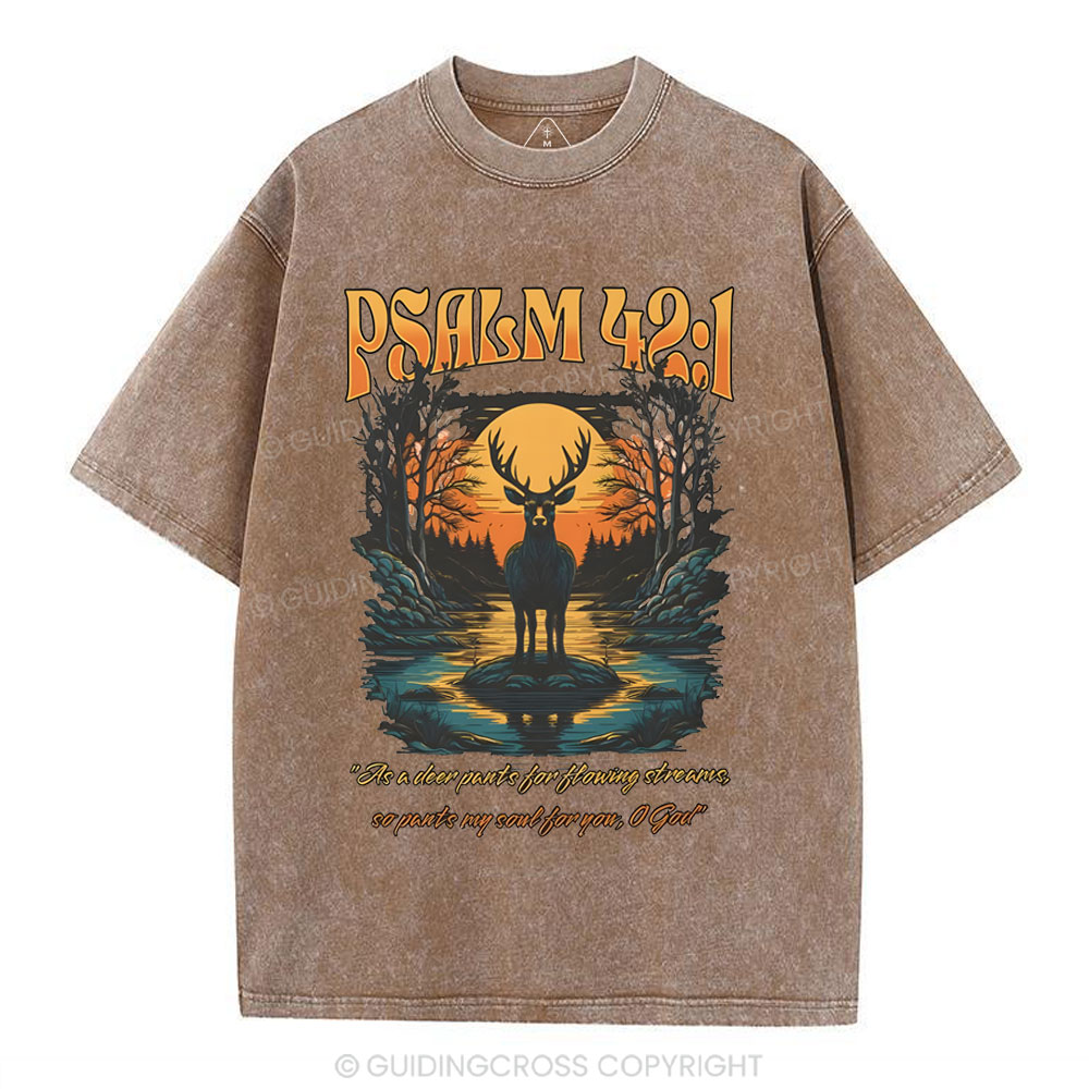 As A Deer Pants Chirstian Washed T-Shirt