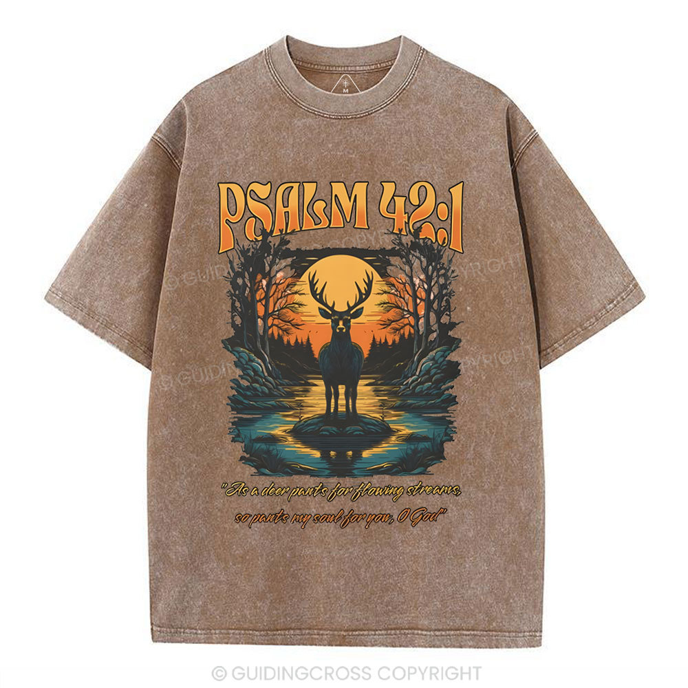 As A Deer Pants Chirstian Washed T-Shirt