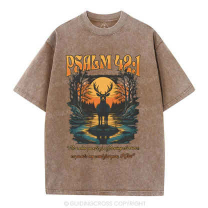 As A Deer Pants Chirstian Washed T-Shirt