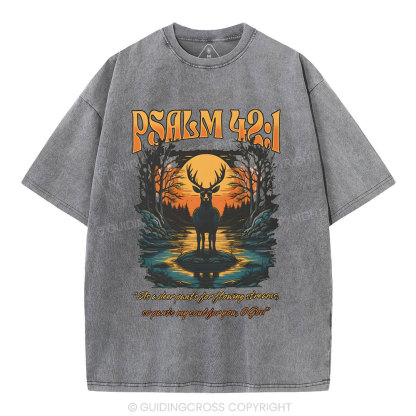 As A Deer Pants Chirstian Washed T-Shirt