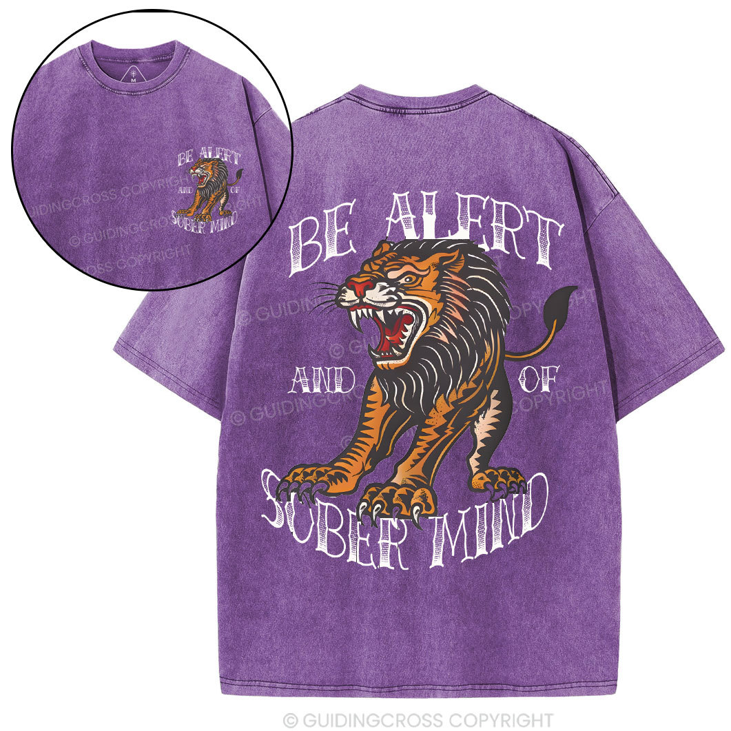 Be Alert And Of Sober Mind Chirstian Washed T-Shirt