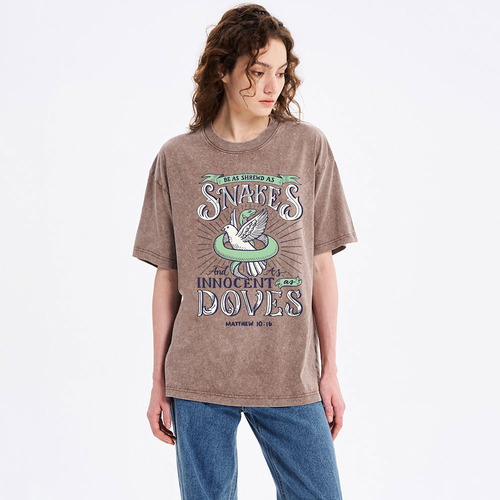 Be As Shrewd As Snakes And Innocent As Doves Christian Washed T-Shirt
