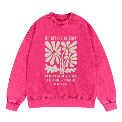 Be Joyful In Hope Christian Washed Sweatshirt