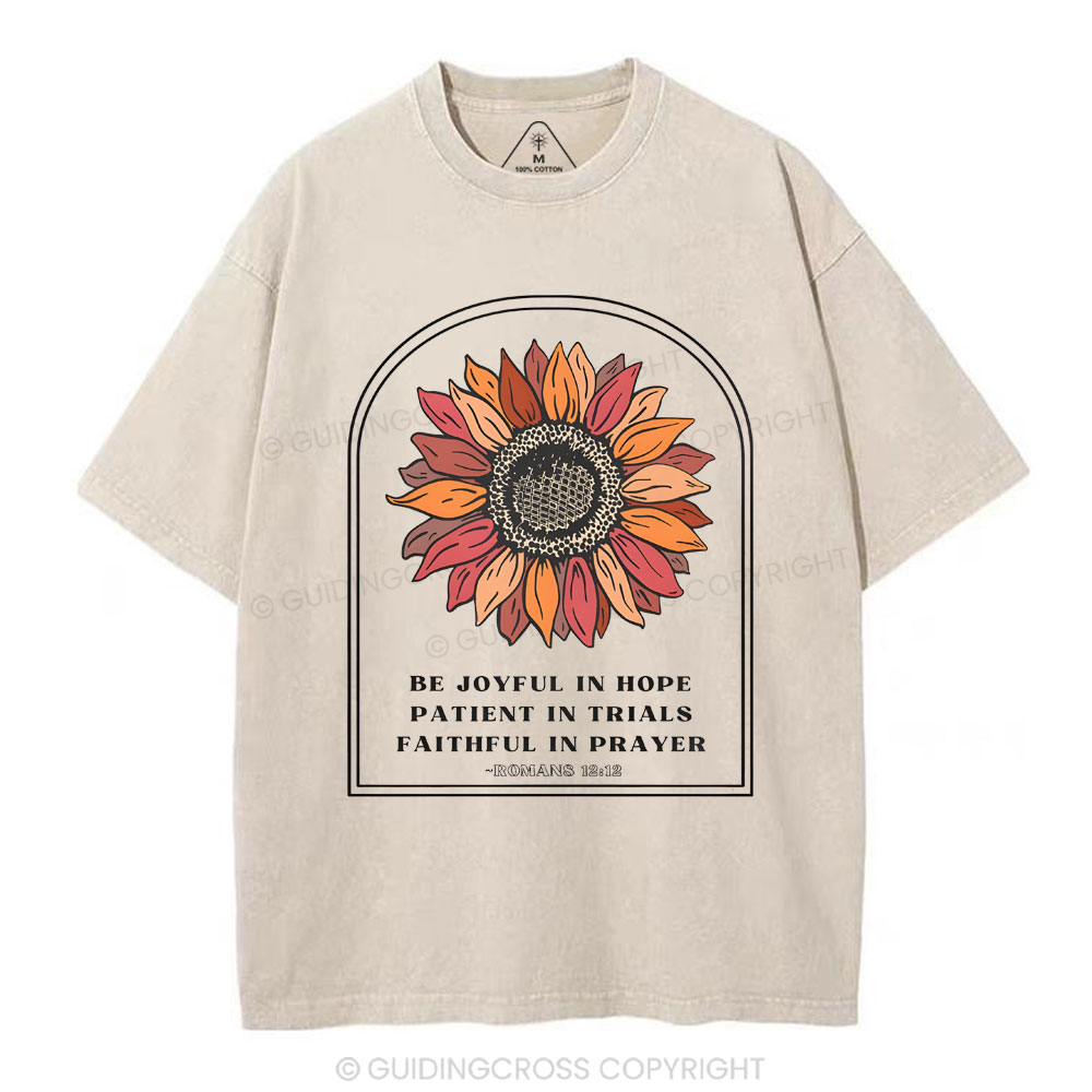 Be Joyful In Hope Christian Washed T-Shirt