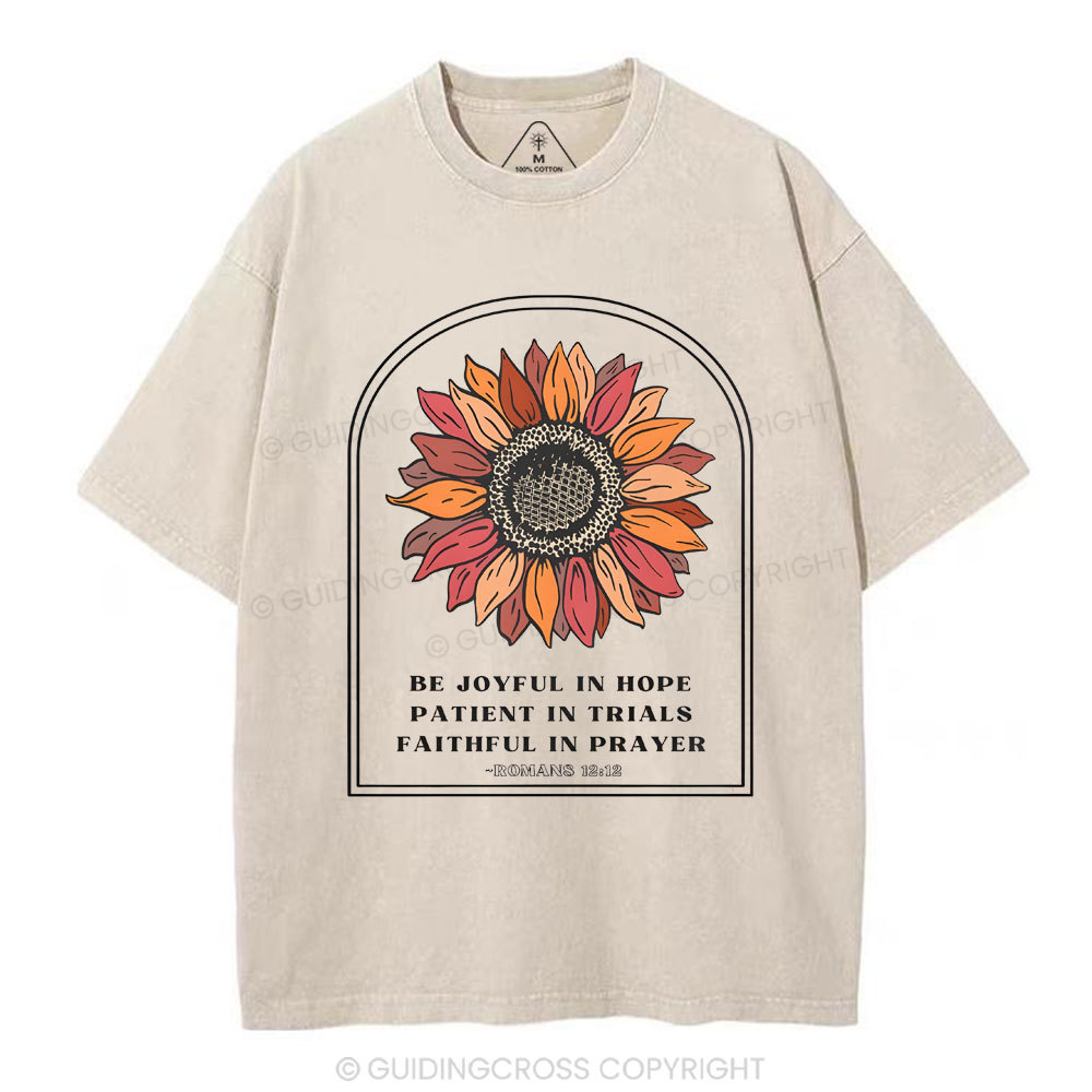 Be Joyful In Hope Christian Washed T-Shirt