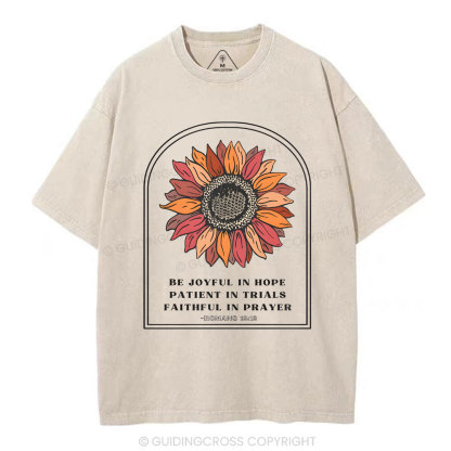 Be Joyful In Hope Christian Washed T-Shirt