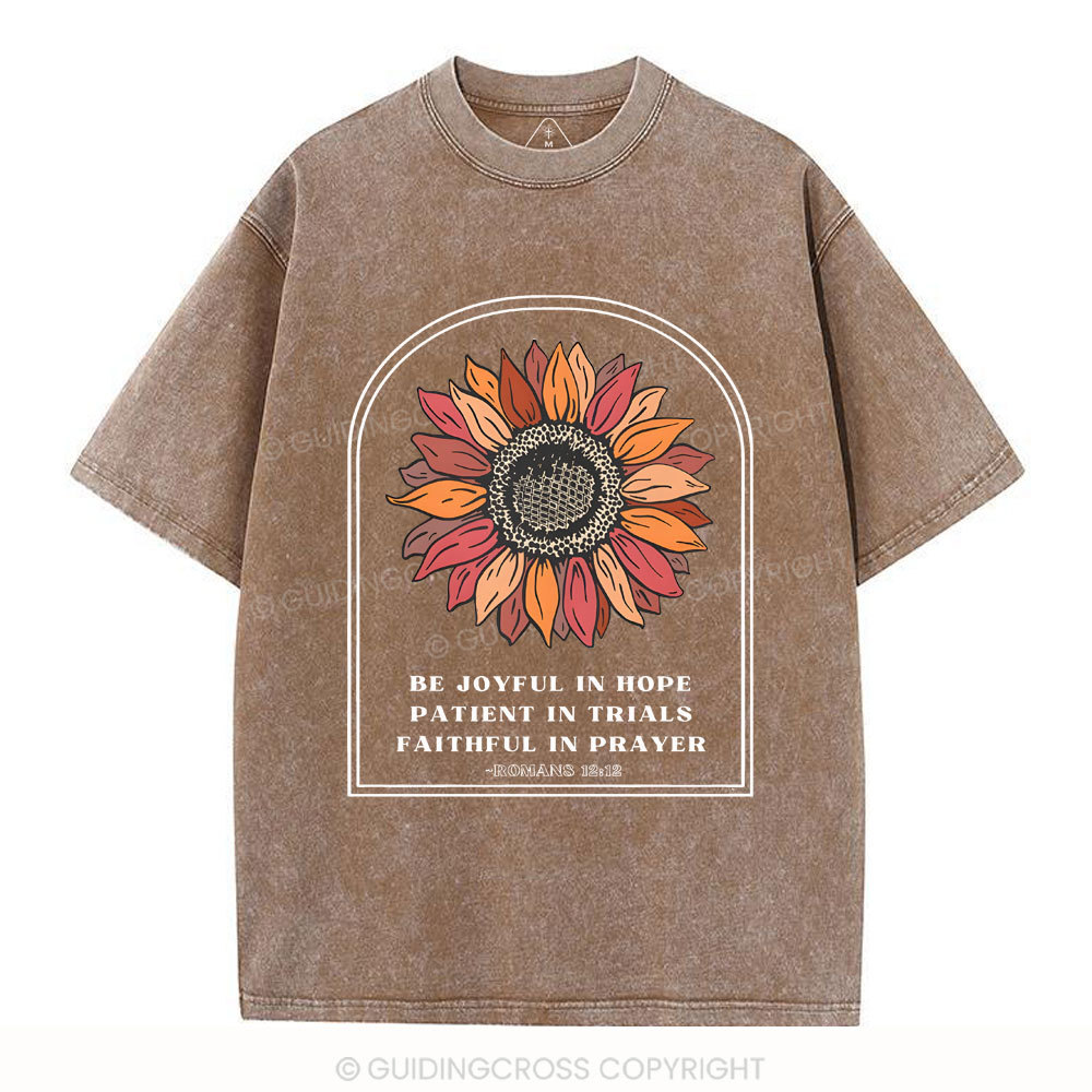 Be Joyful In Hope Christian Washed T-Shirt