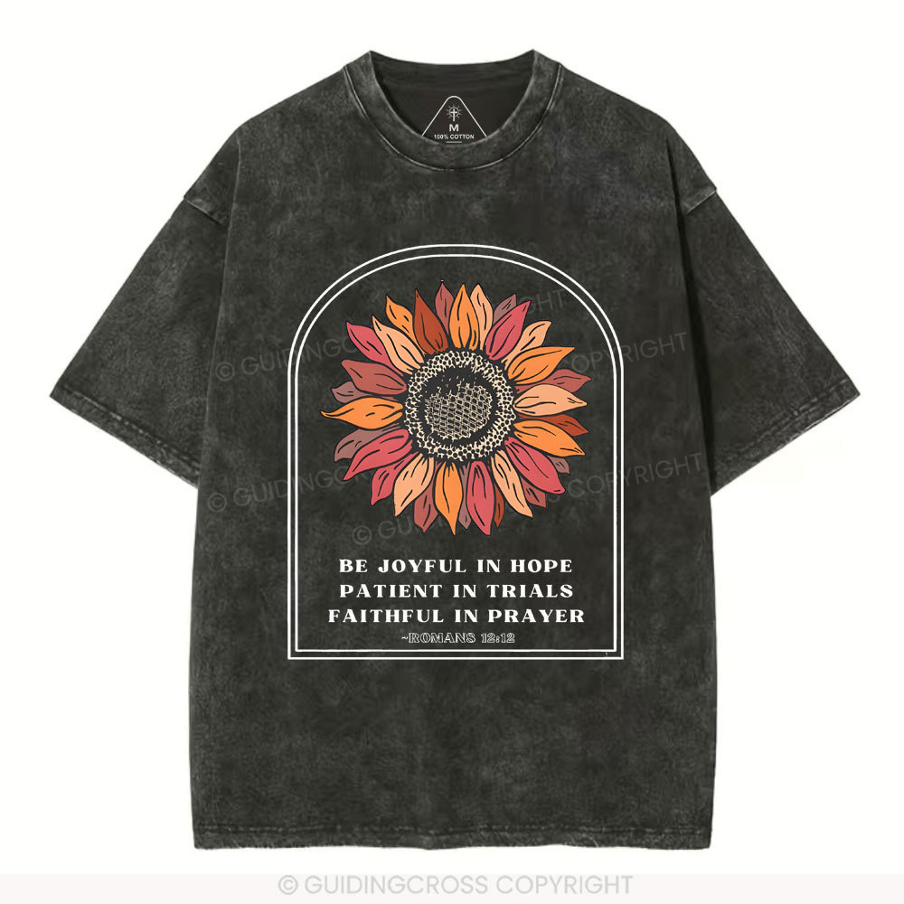 Be Joyful In Hope Christian Washed T-Shirt