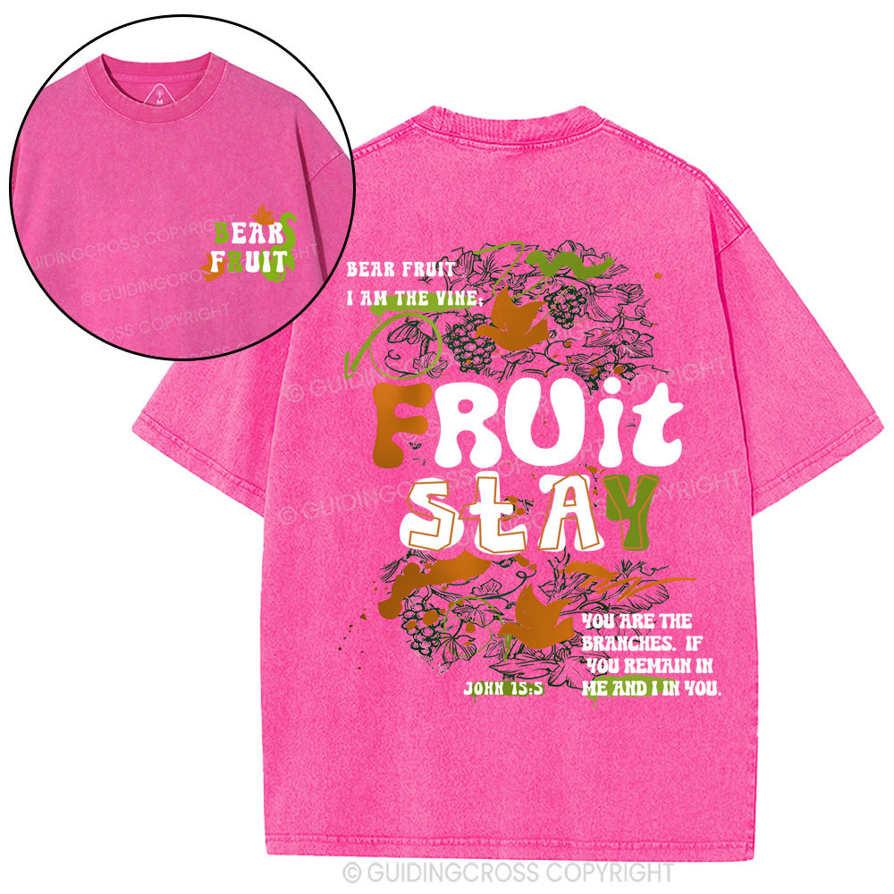 Bear Friut Christian Washed T-Shirt