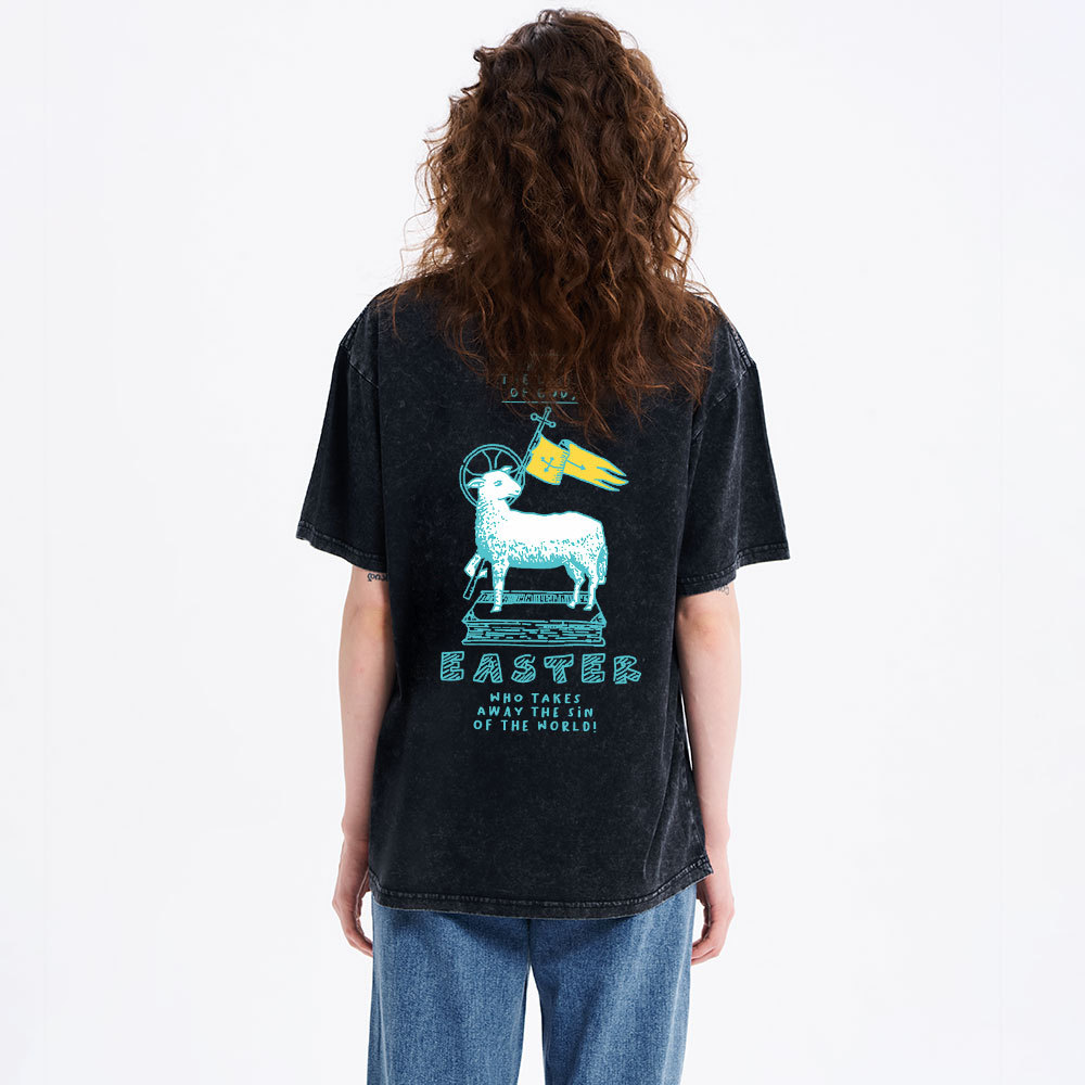 Behold The Lamb Of God Christian Washed T-Shirt