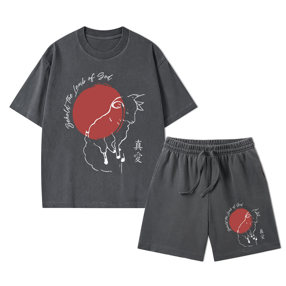 Behold The Lamb Of God Christian Washed T-Shirt & Shorts