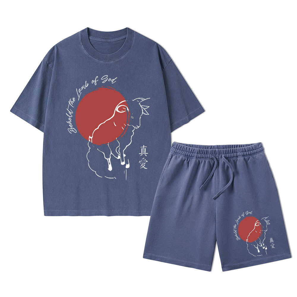 Behold The Lamb Of God Christian Washed T-Shirt & Shorts