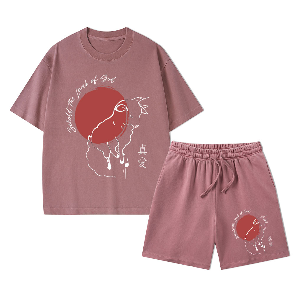 Behold The Lamb Of God Christian Washed T-Shirt & Shorts