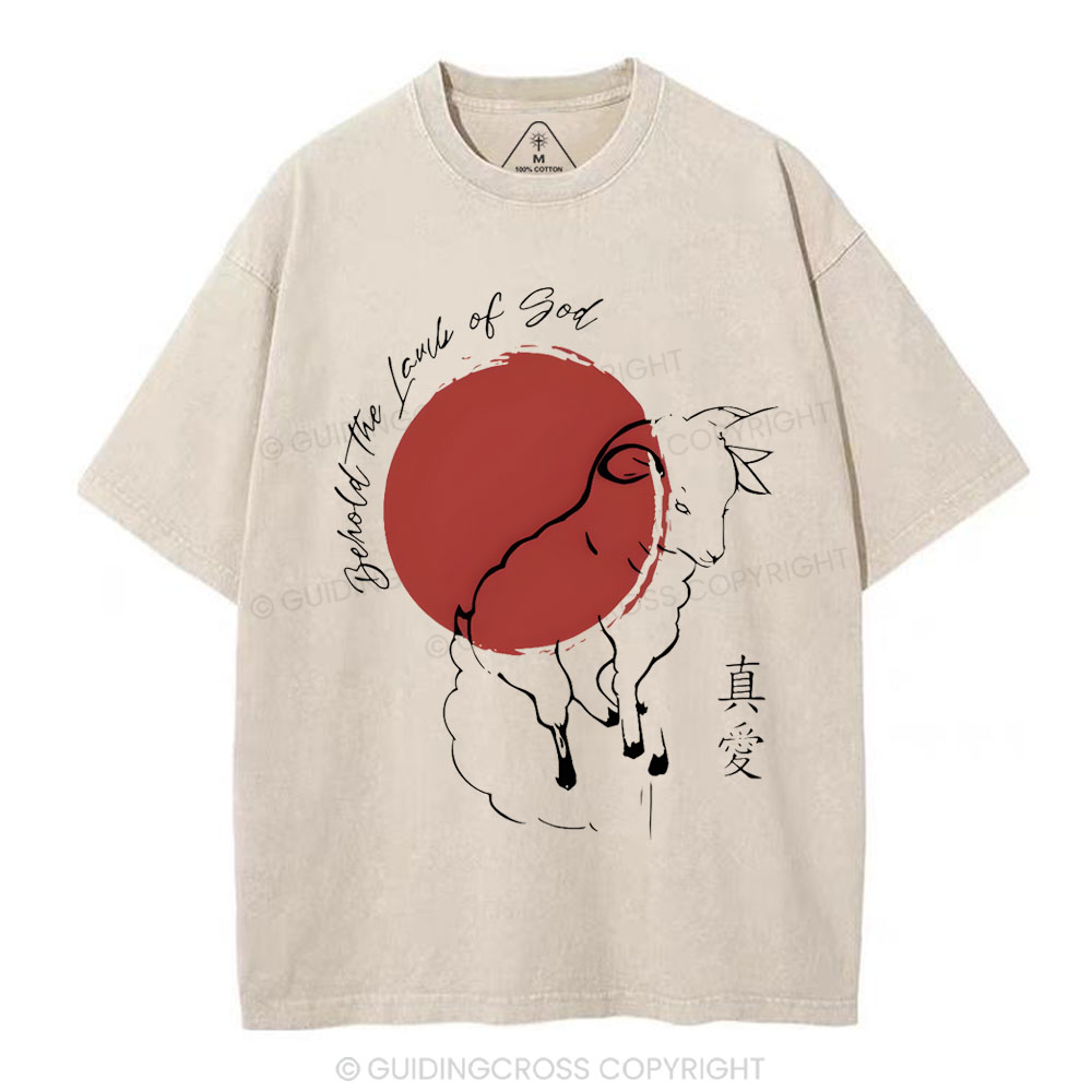 sample washed T-Shirt Sale - GuidingCross