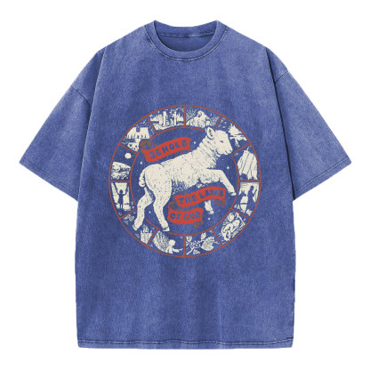 Behold The Lamb Of God Christian Washed T-Shirt