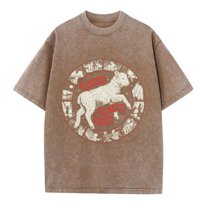 Behold The Lamb Of God Christian Washed T-Shirt