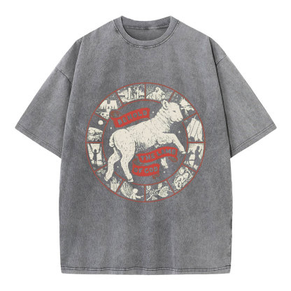 Behold The Lamb Of God Christian Washed T-Shirt