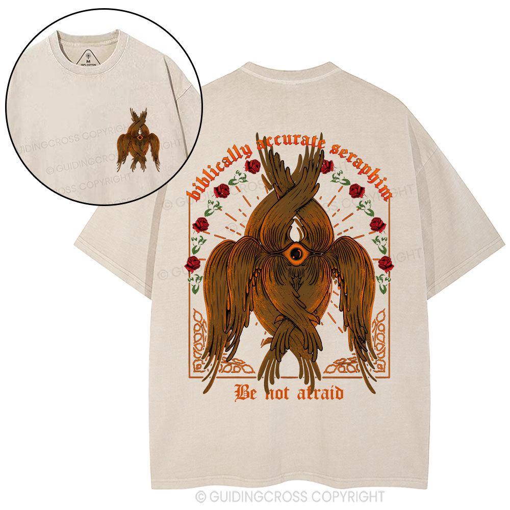 Biblically Accurate Angel Christian Washed T-Shirt