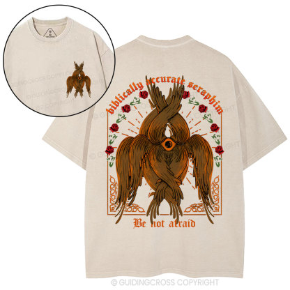 Biblically Accurate Angel Christian Washed T-Shirt