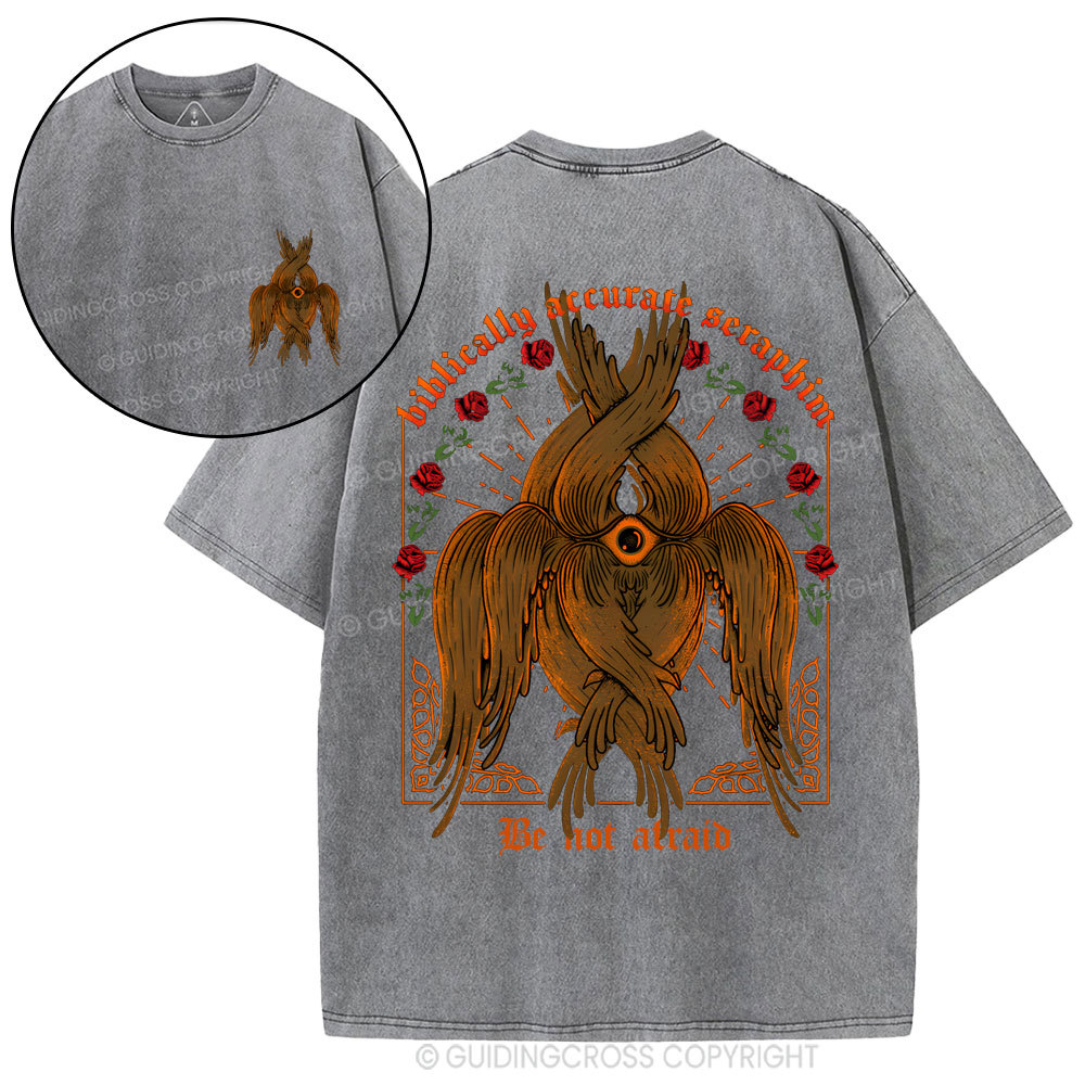 Biblically Accurate Angel Christian Washed T-Shirt