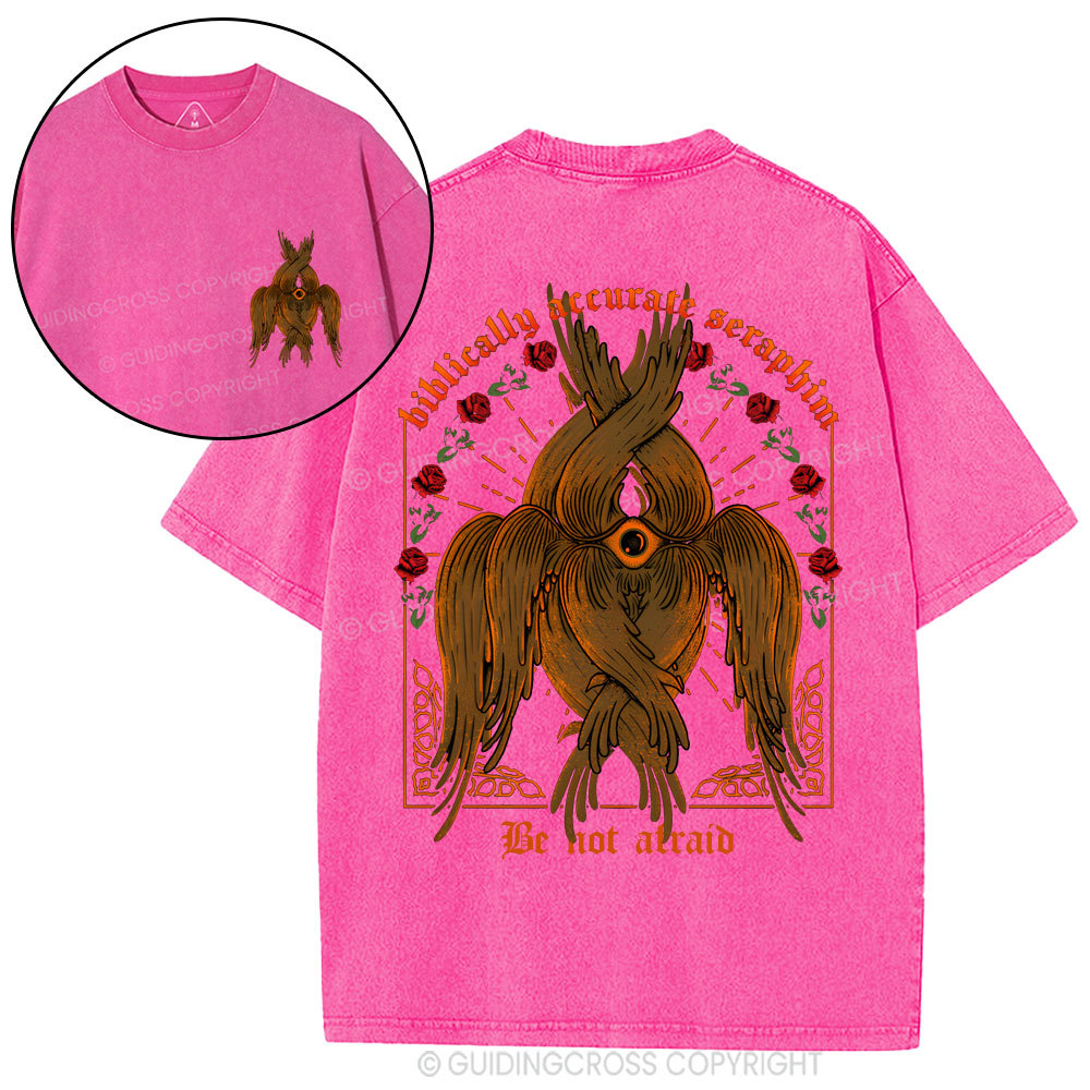 Biblically Accurate Angel Christian Washed T-Shirt