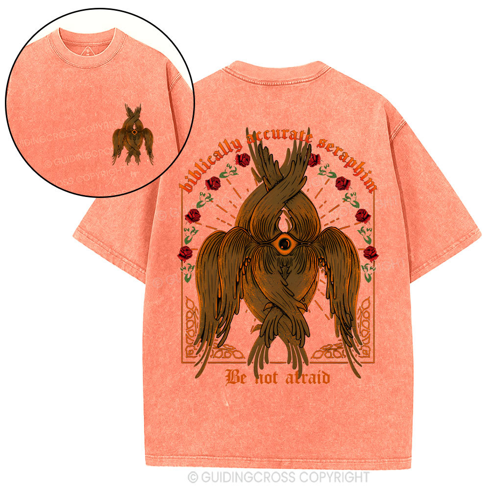 Biblically Accurate Angel Christian Washed T-Shirt
