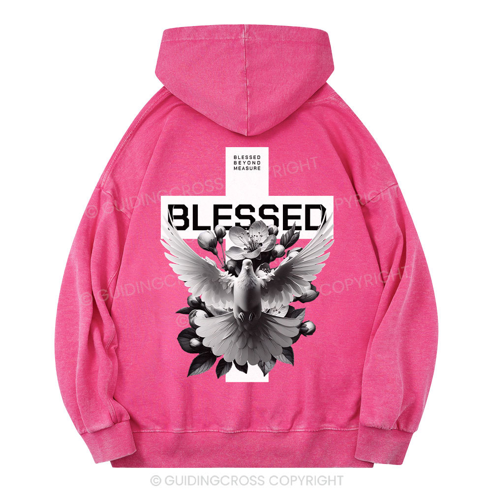 Blessed Beyond Measure Christian Washed Hoodie