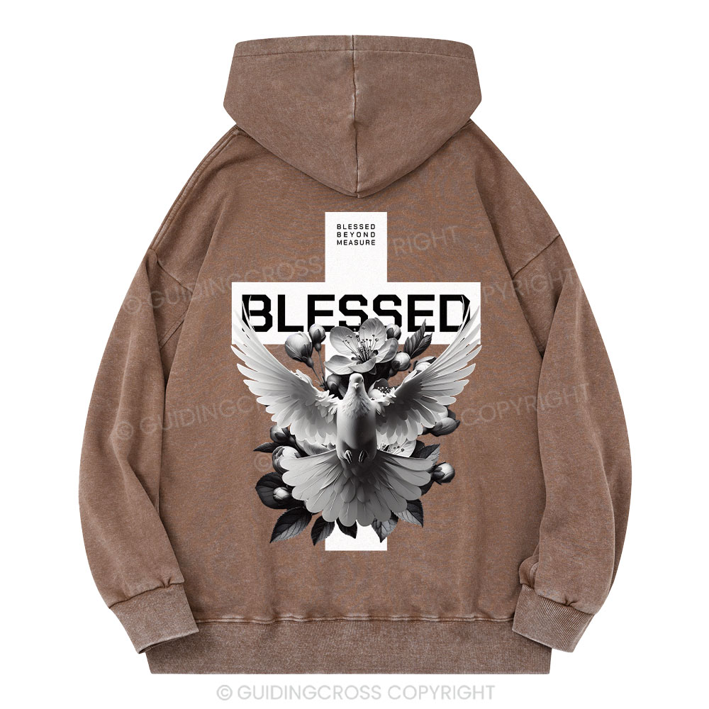 Blessed Beyond Measure Christian Washed Hoodie