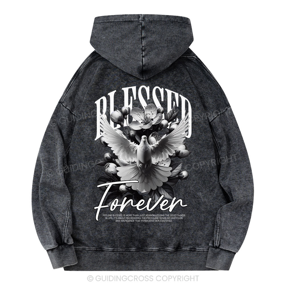 Transformed Christian Washed Hoodie Sale - GuidingCross