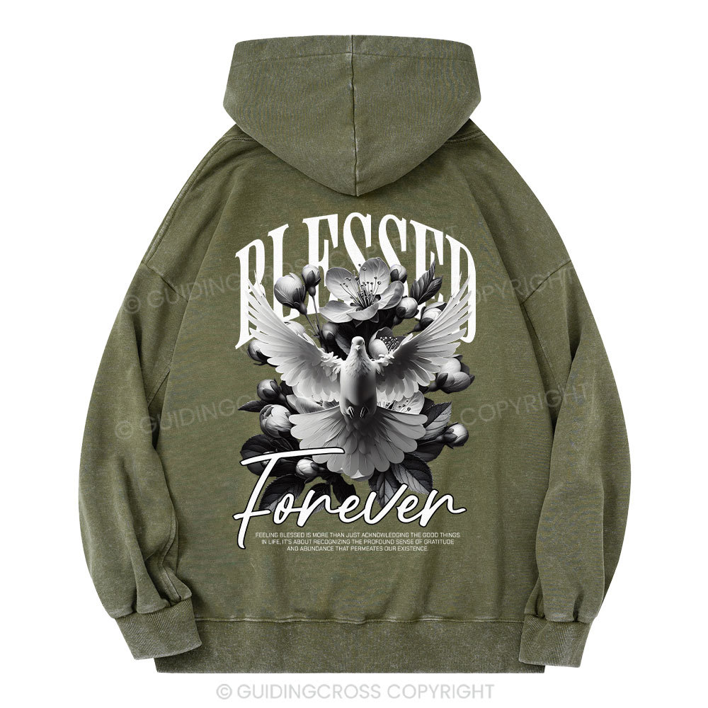 Blessed Forever Christian Washed Hoodie