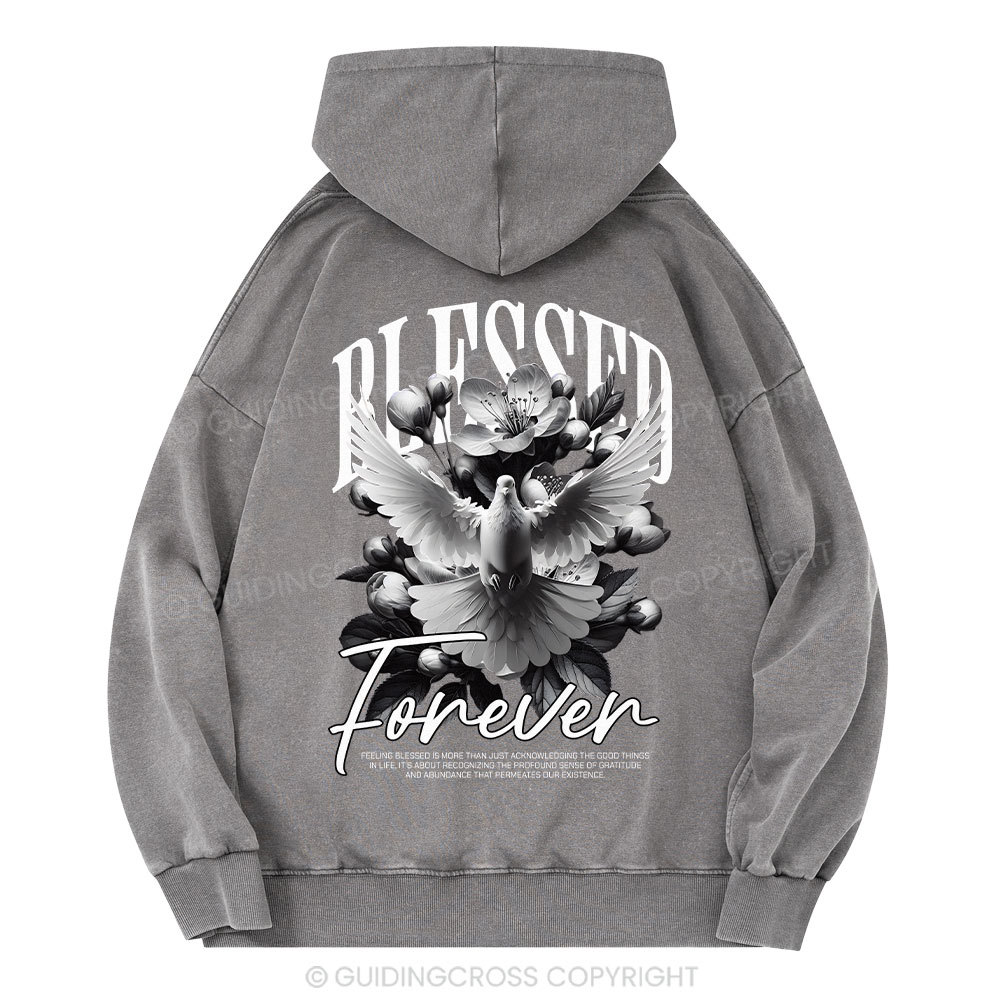 Blessed Forever Christian Washed Hoodie