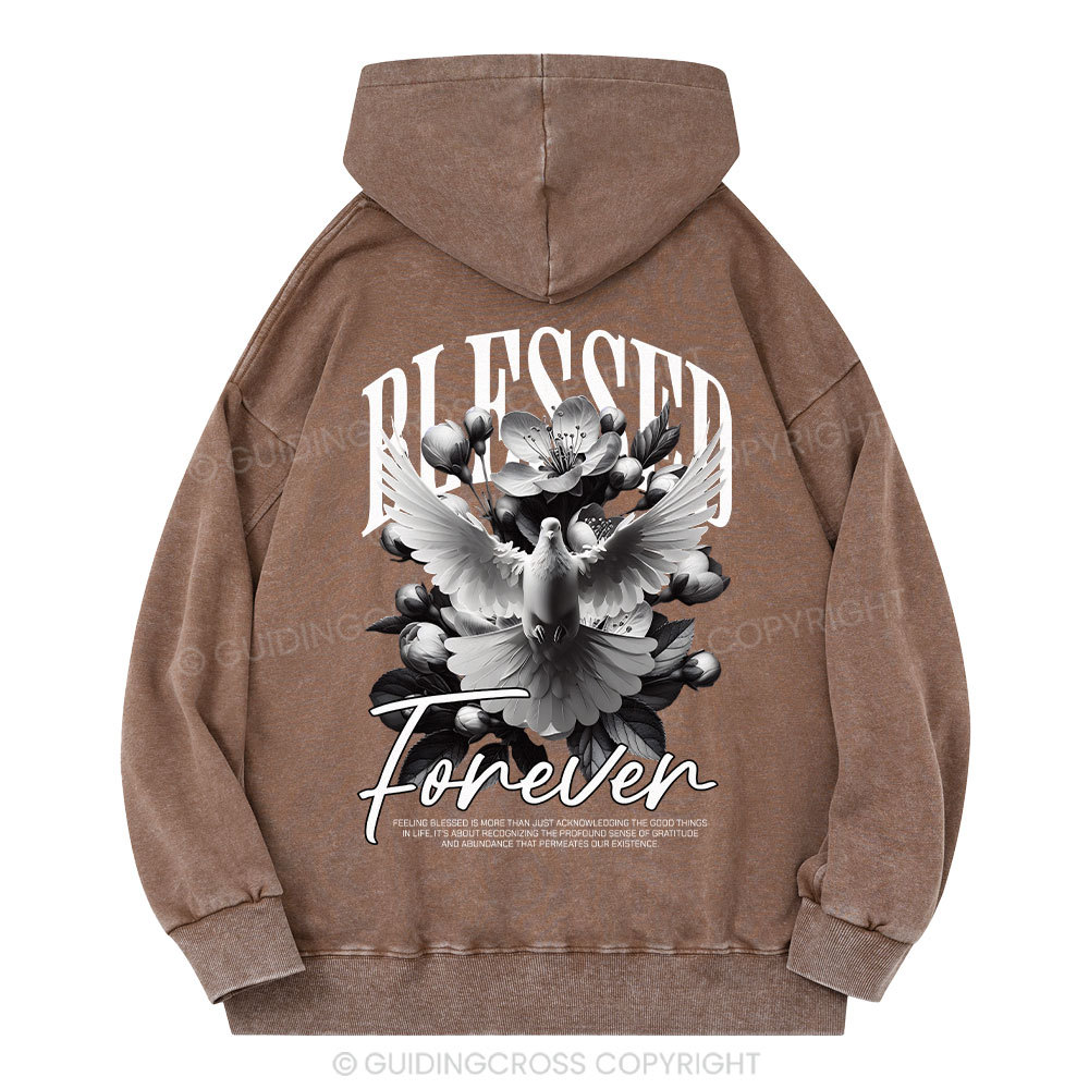 Blessed Forever Christian Washed Hoodie