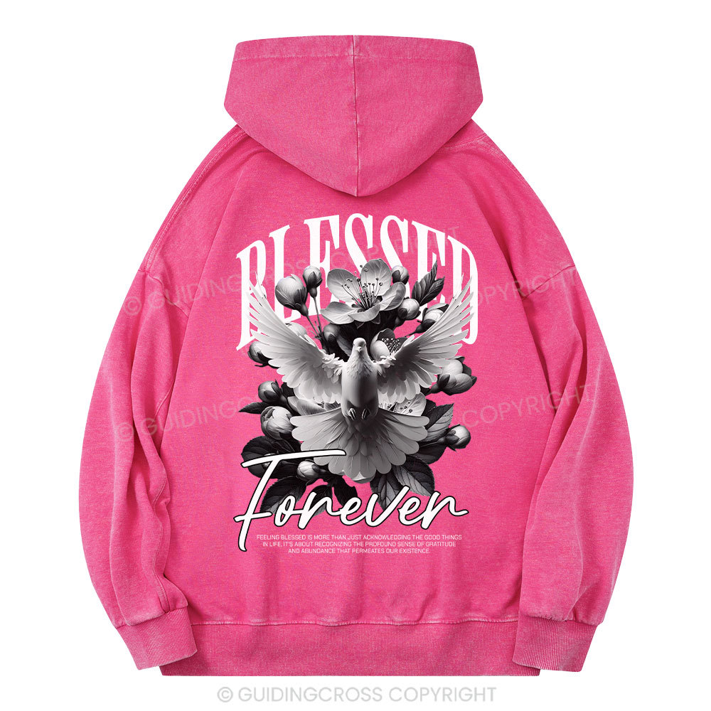 Blessed Forever Christian Washed Hoodie
