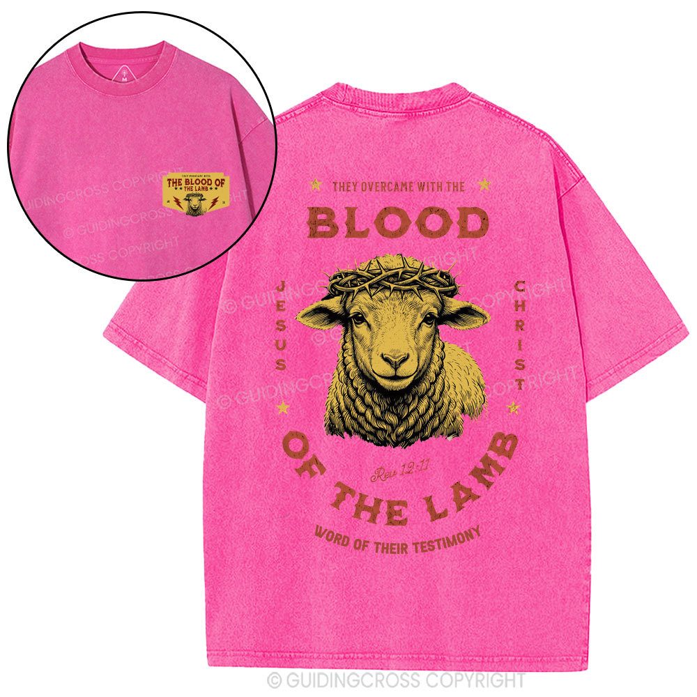 Blood Of The Lamb Christian Washed T-Shirt