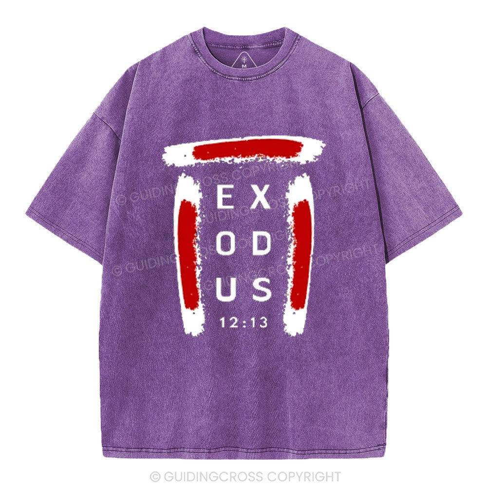 Blood on Door Post Exodus Christian Washed T-Shirt