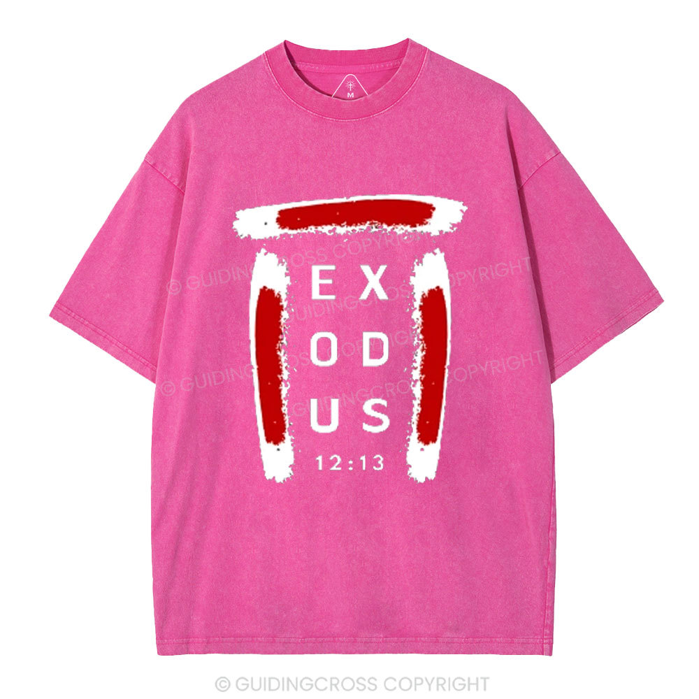 Blood on Door Post Exodus Christian Washed T-Shirt