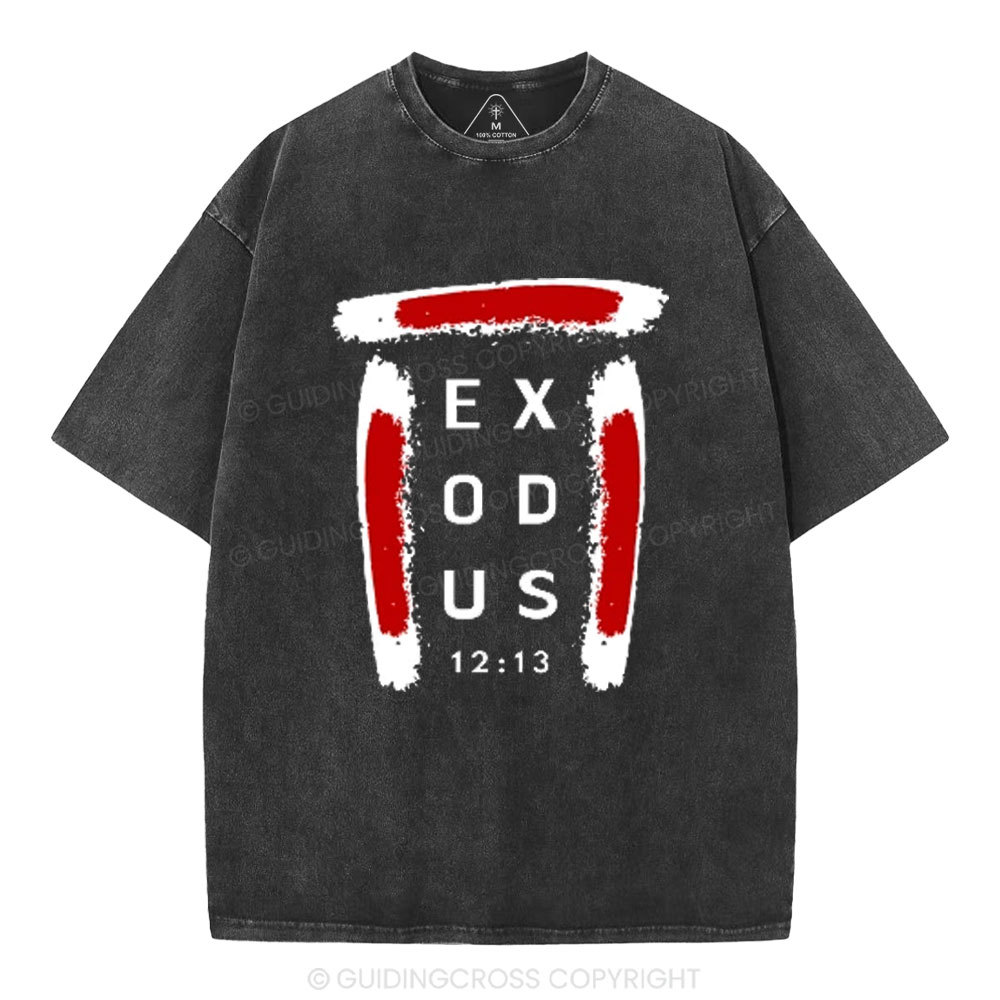 Blood on Door Post Exodus Christian Washed T-Shirt