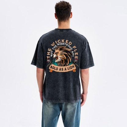 Bold As A Lion Christian Washed T-Shirt