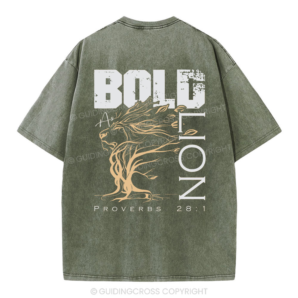 Bold As Lion Christian Washed T-Shirt