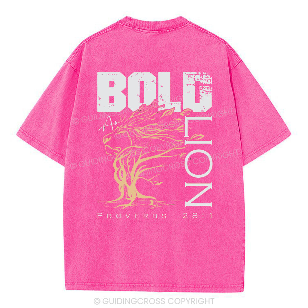 Bold As Lion Christian Washed T-Shirt