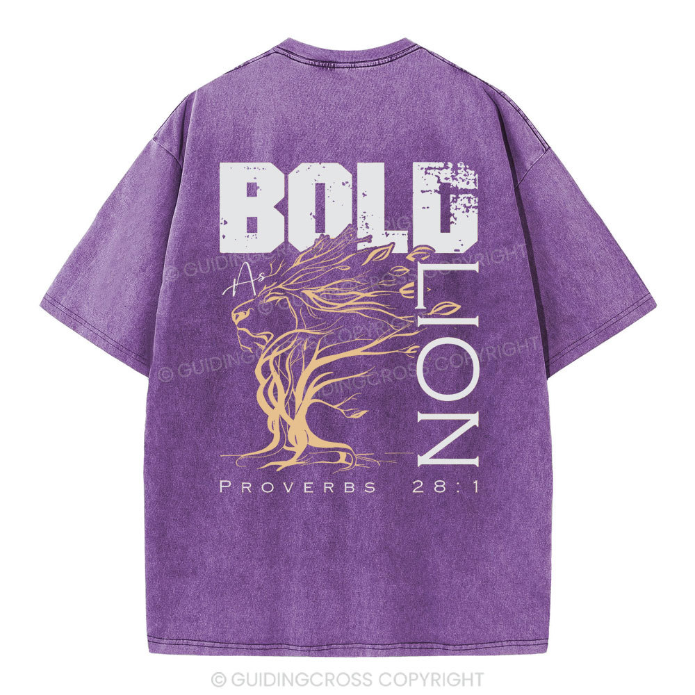 Bold As Lion Christian Washed T-Shirt