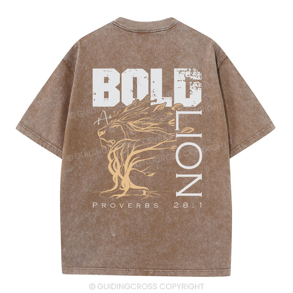 Bold As Lion Christian Washed T-Shirt