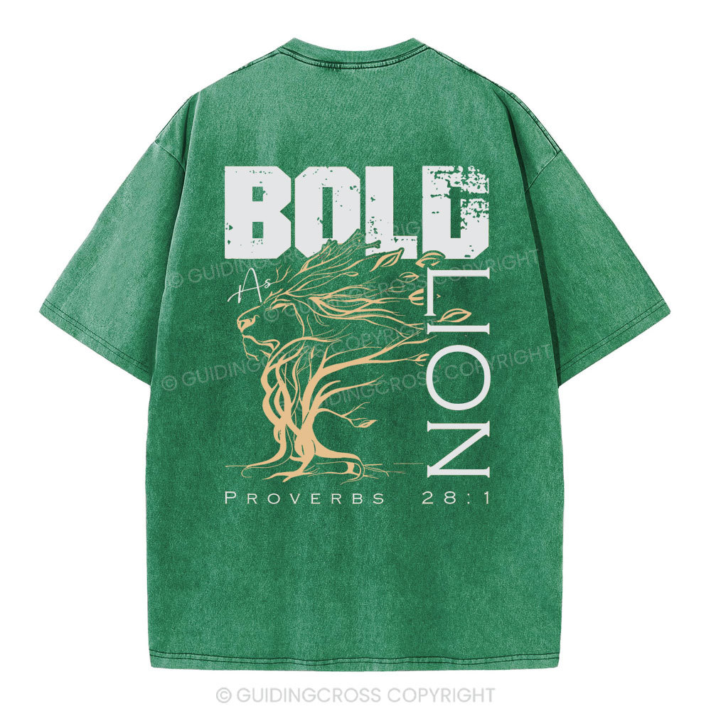 Bold As Lion Christian Washed T-Shirt